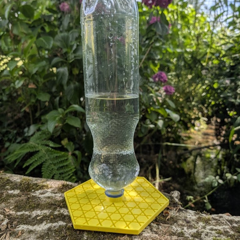 Abreuvoir à abeilles pour bouteille d'eau et soda modèle "L'Alvéo" La Buse Qui File