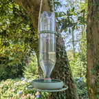 Abreuvoir à oiseaux pour bouteille d'eau et soda modèle "L'Oasis" La Buse Qui File