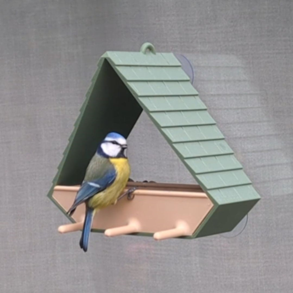Mangeoire à oiseaux pour fenêtre modèle sapin La Buse Qui File
