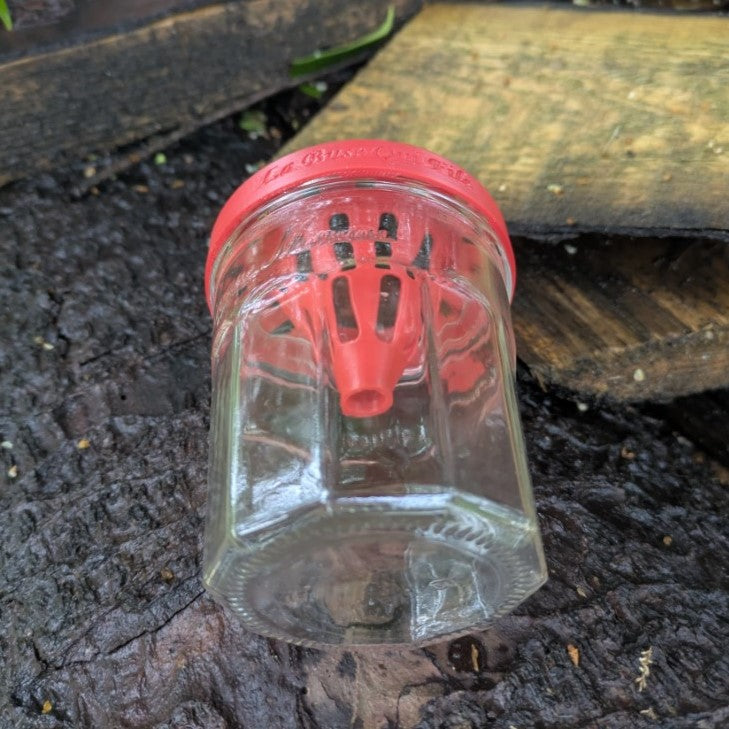Pièges à frelons asiatique sélectif pour pot en verre modèle "La Nasse" La Buse Qui File