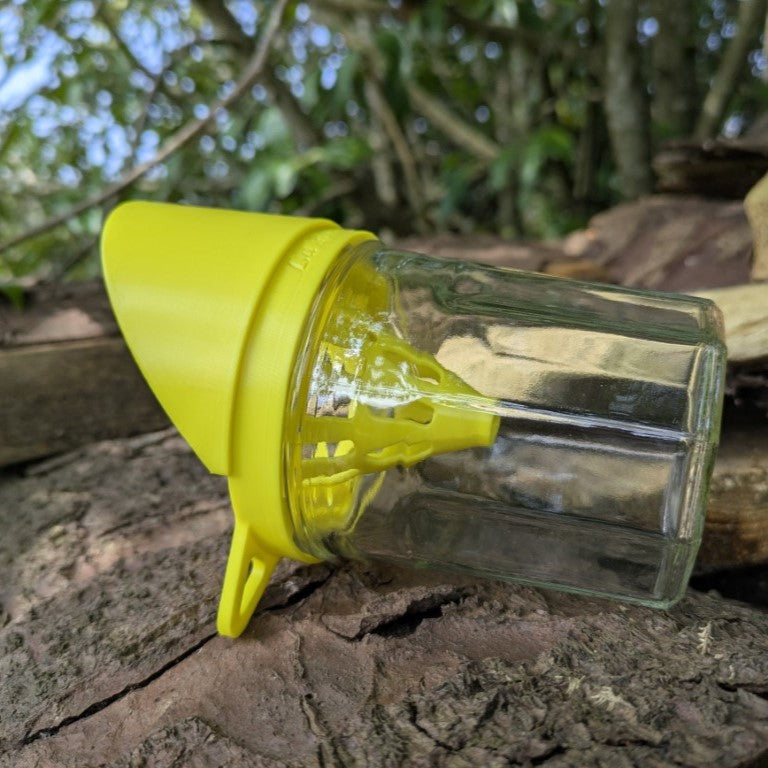 Pièges à frelons asiatique sélectif pour pot en verre modèle "La Nasse" La Buse Qui File