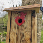 Plaque décorative de protection de trous d'envol pour nichoirs - protection anti prédateurs modèle "Le Cœur Oiseau" La Buse Qui File
