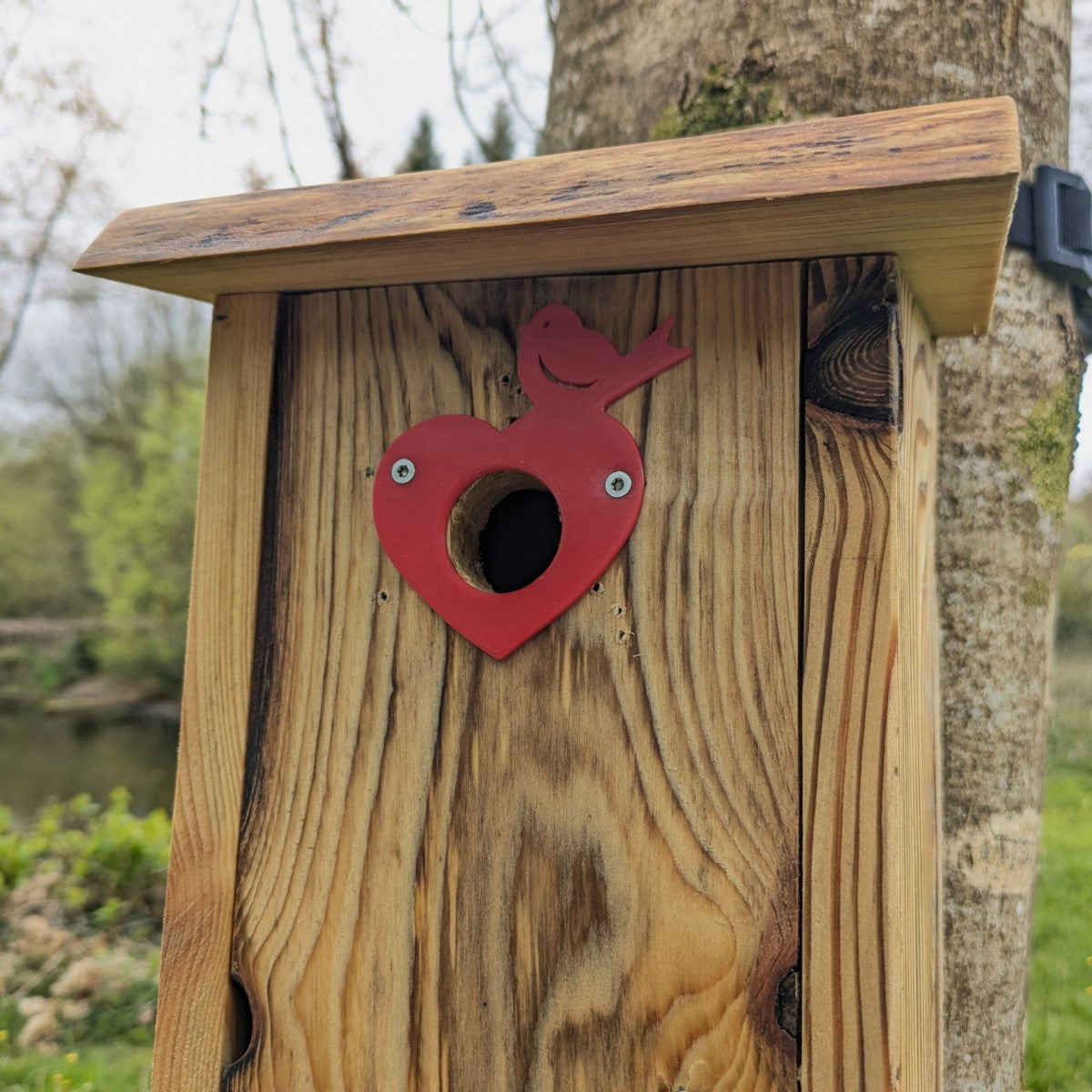 Plaque décorative de protection de trous d'envol pour nichoirs - protection anti prédateurs modèle "Le Cœur Oiseau" La Buse Qui File