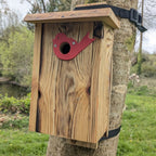Plaque décorative de protection de trous d'envol pour nichoirs - protection anti prédateurs modèle "L'Oiseau" La Buse Qui File