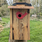 Plaque décorative de protection de trous d'envol pour nichoirs - protection anti prédateurs modèle "L'Oiseau" La Buse Qui File