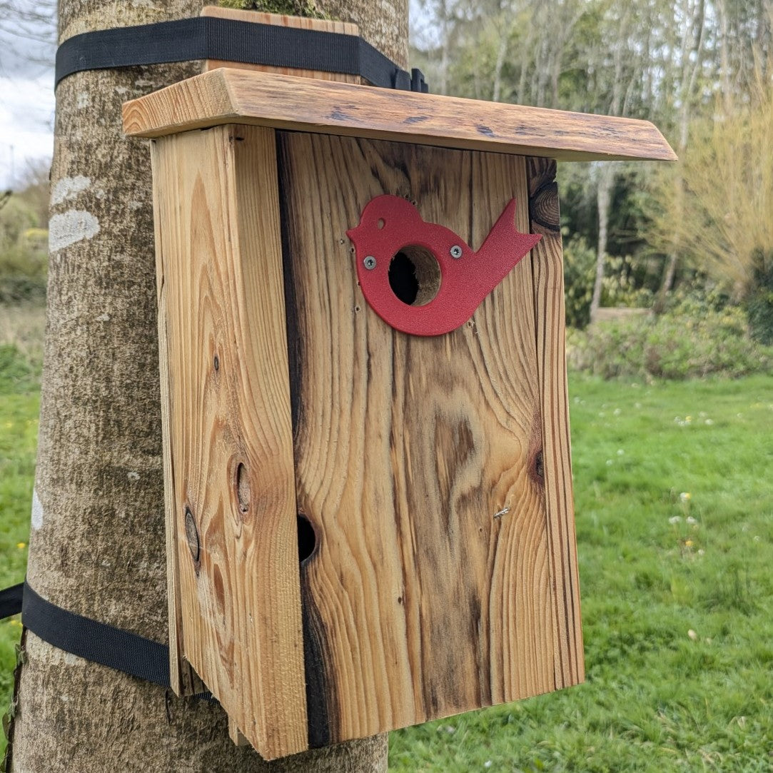 Plaque décorative de protection de trous d'envol pour nichoirs - protection anti prédateurs modèle "L'Oiseau" La Buse Qui File